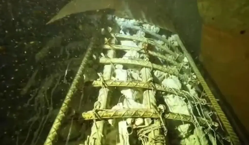 Imagen Advierten que lo peor estaría por venir en el Tren Maya ¿Por qué? (+Video)