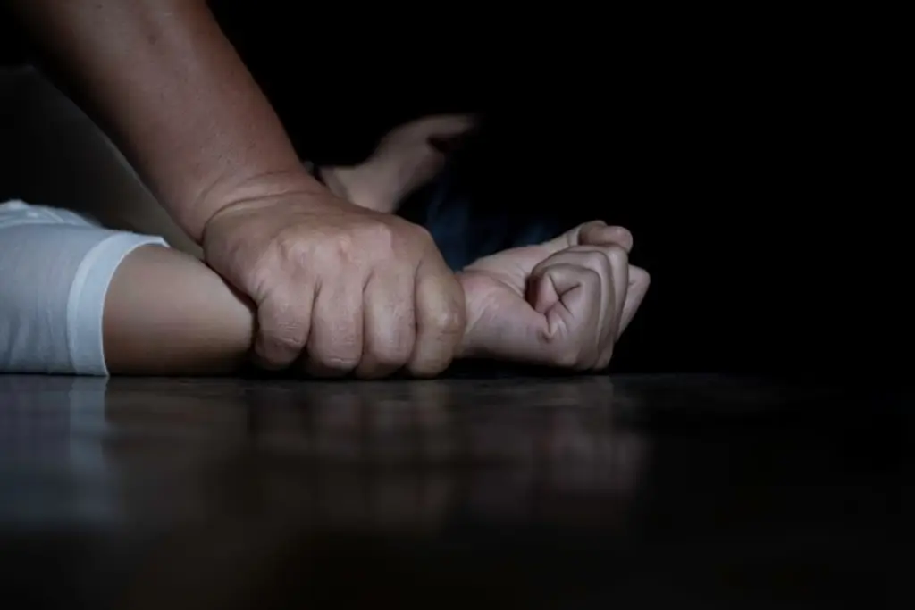 Imagen Veracruz cerró el año 2025 con más de 3 mil delitos sexuales denunciados