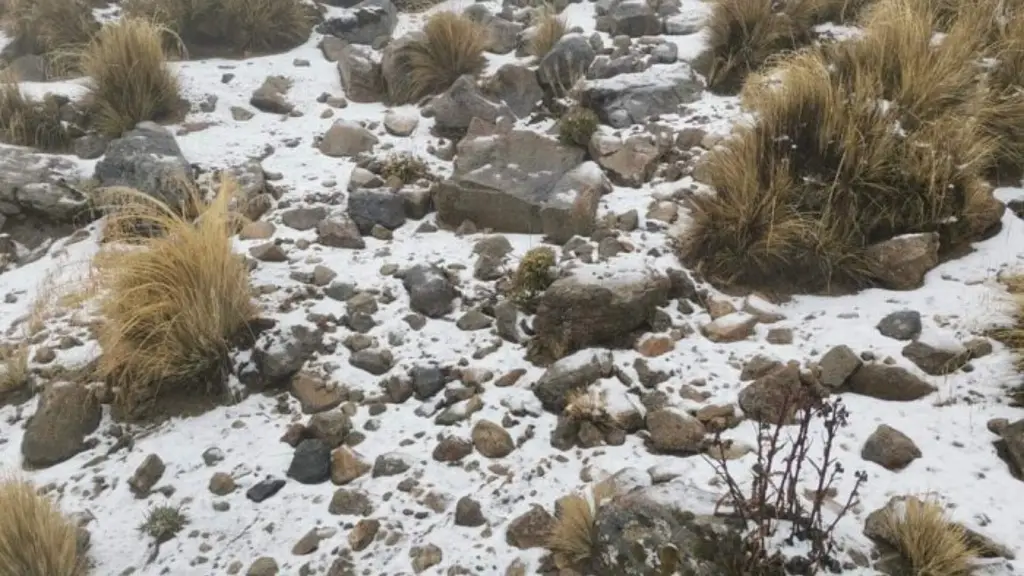 Imagen Prevén nieve y aguanieve este fin de semana en montañas de Veracruz 