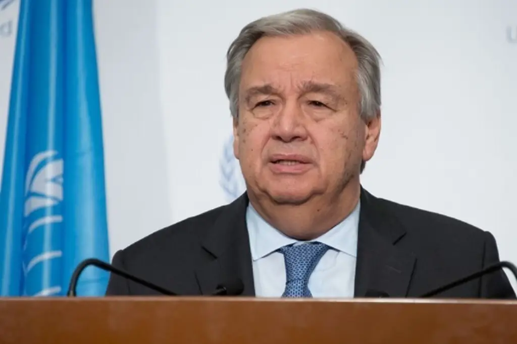 Imagen 'Ley de la selva' está sustituyendo el Estado de derecho, alerta titular de la ONU