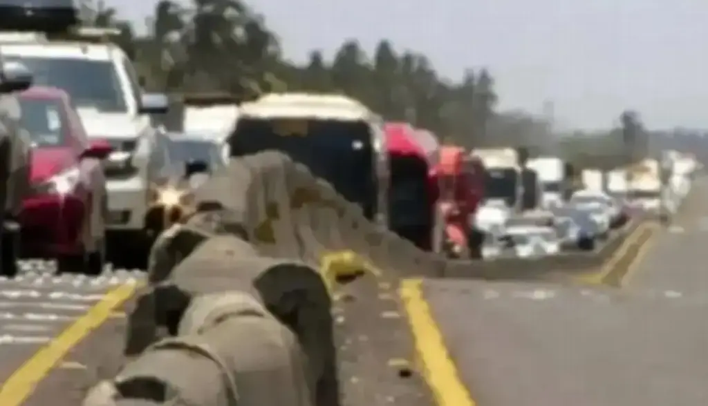 Imagen Cierre de circulación en autopista de Veracruz; conoce a qué altura 