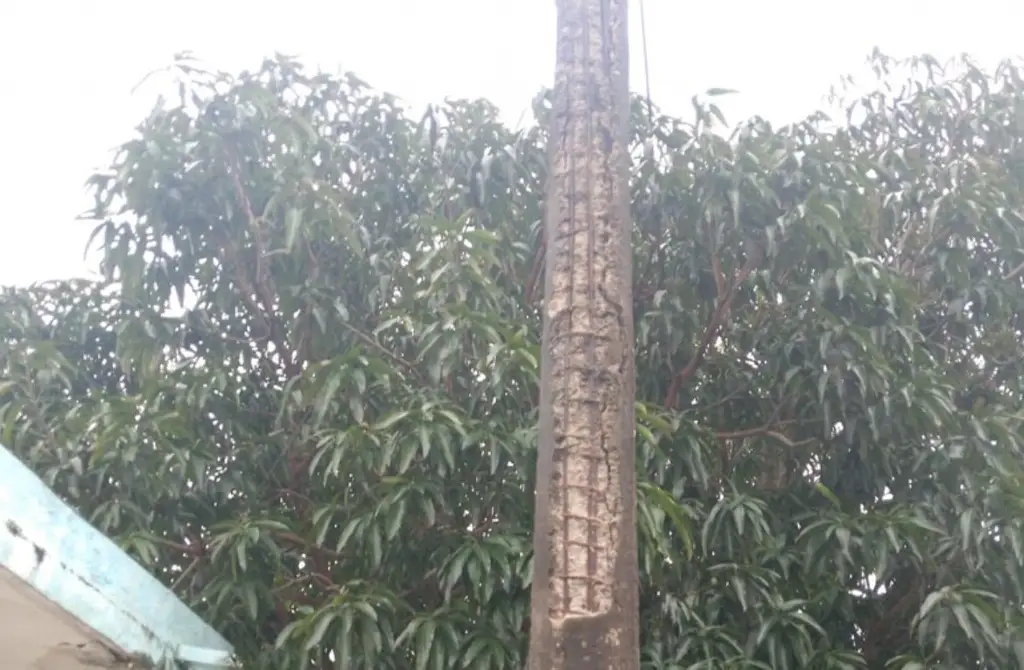 Imagen Vecinos del Coyol reportan poste de CFE en mal estado y un registro sin tapa en Veracruz