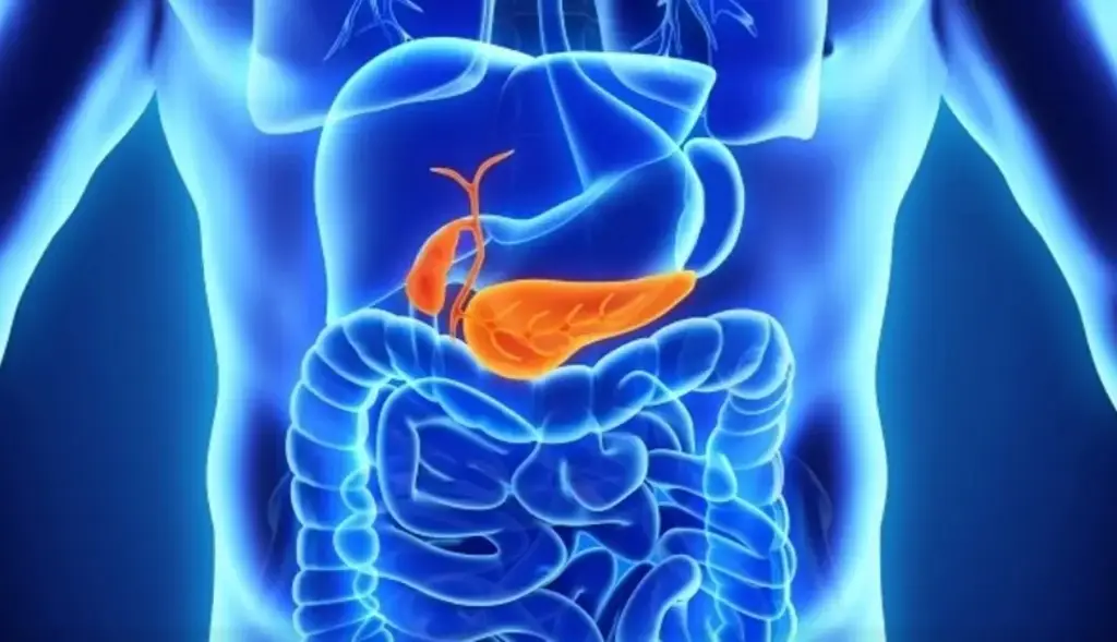 Imagen Esto se sabe sobre la eliminación del cáncer de páncreas con tratamiento revolucionario
