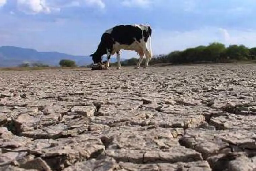 Imagen México logra su nivel más bajo de sequía en seis años