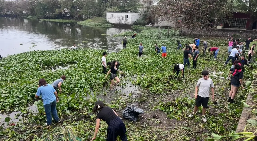 Imagen Vecinos de las lagunas la ilusión y el ensueño han retirado 600 toneladas de lirios en los últimos años