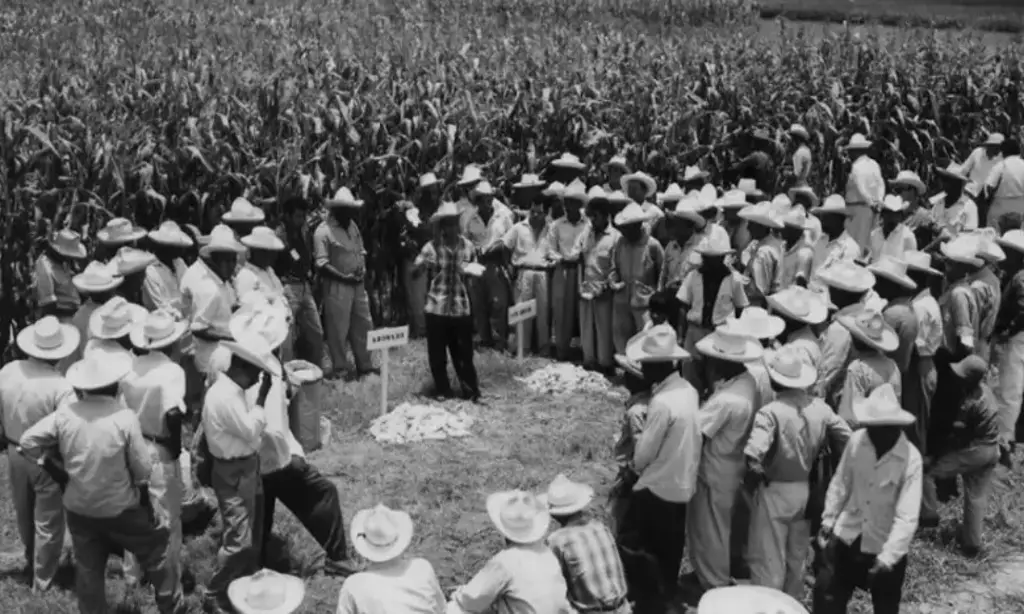 Imagen Celebran el 83 aniversario del primer 'Programa Agrícola Mexicano'; conoce un poco de su historia