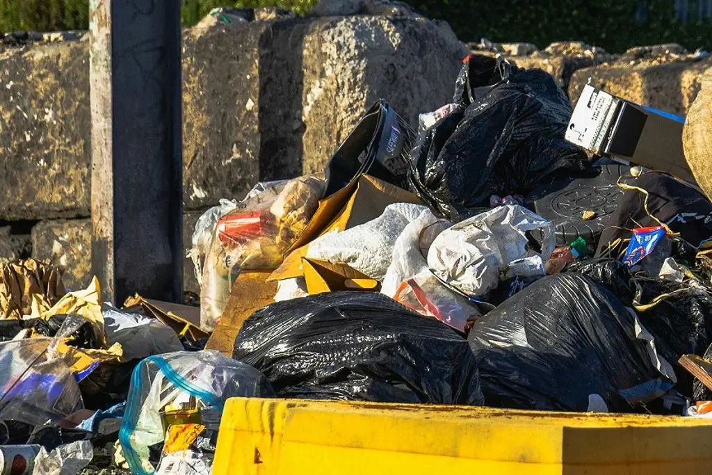 Imagen Carecen de recolección de basura; vecinos se quejan por cobro de 3 mil 500 en colonia de Veracruz 