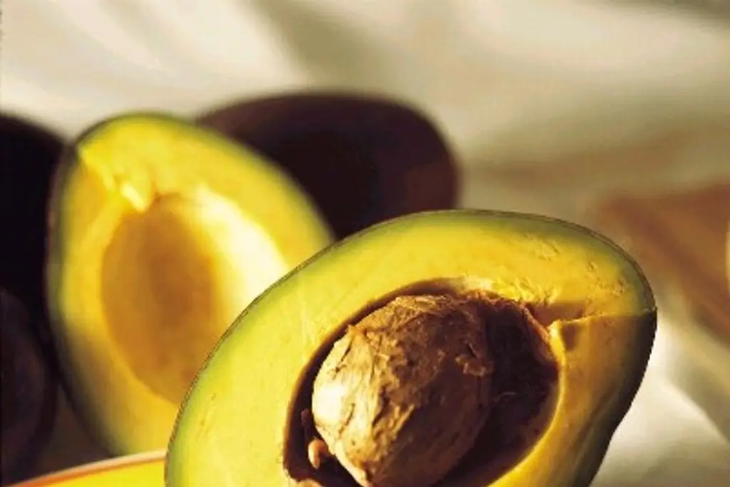 Imagen Extorsión encarece el aguacate mexicano en plena demanda por el Super Bowl