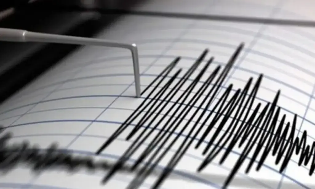 Imagen ¿Qué hacer después de una alerta sísmica?