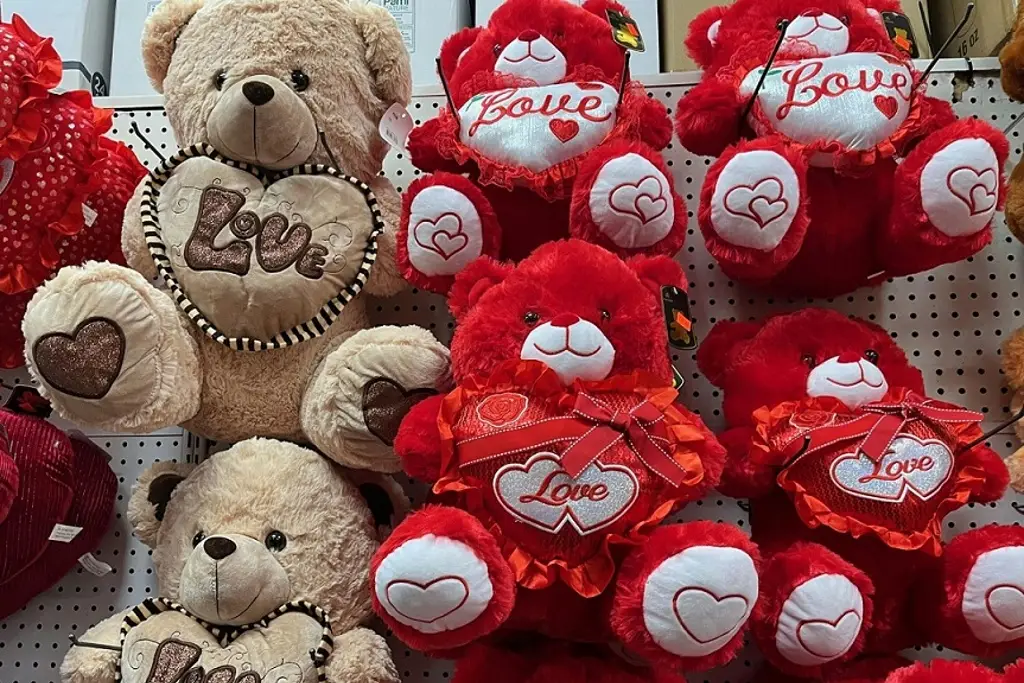 Imagen San Valentín reactivará la economía local, prevé Canaco Veracruz