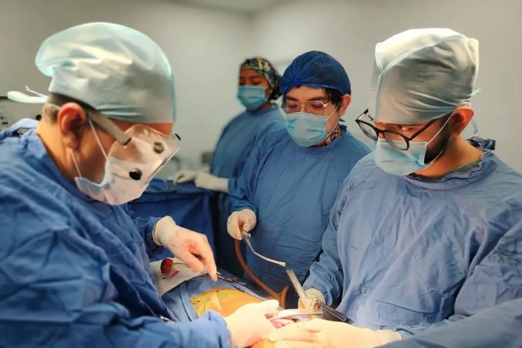 Imagen Contrajo influenza y se le complicó. Así 'salvó su vida' el IMSS 