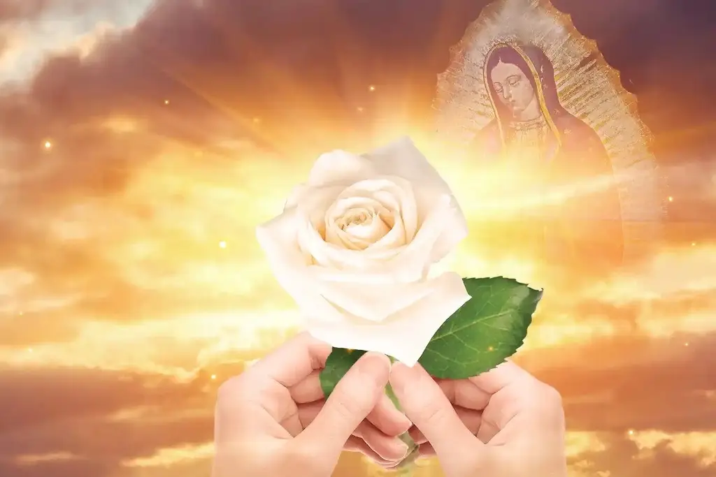 Imagen La Rosa de Guadalupe cumple 19 años de transmisiones