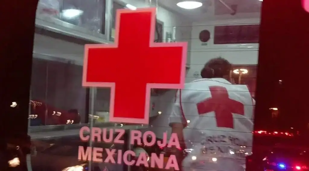 Imagen Le pisó al acelerador chocó y hasta un árbol tiró en Boca del Río