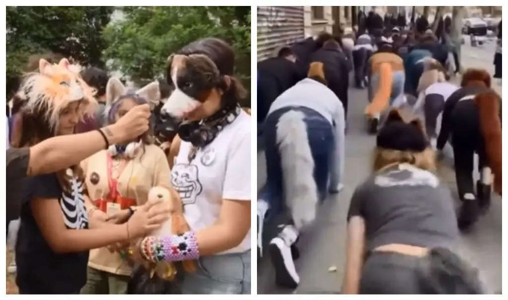 Imagen ¿Qué son los 'Therians' y por qué son tendencia en redes sociales?