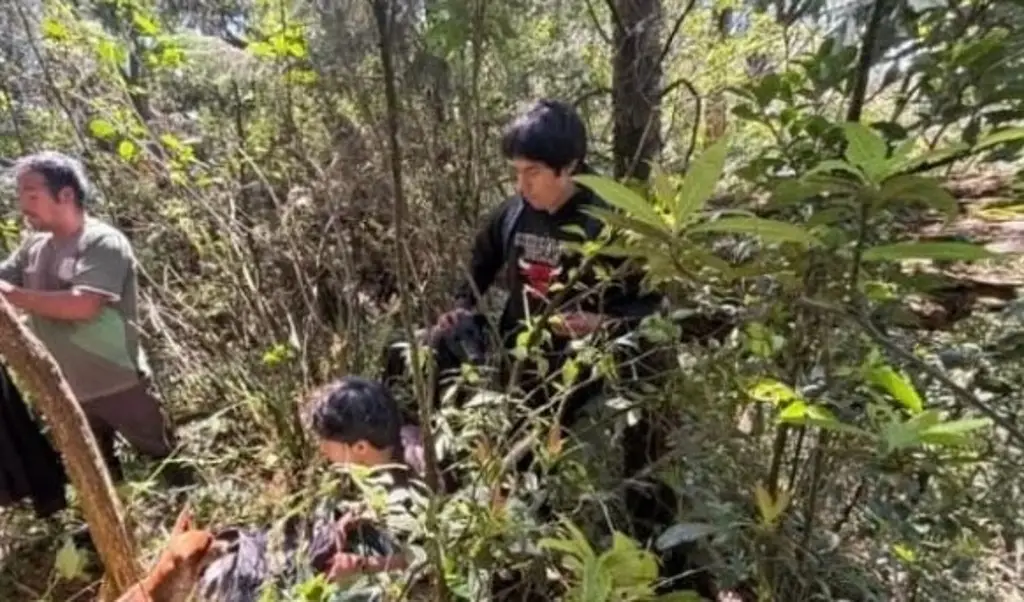 Imagen Rescatan a 2 jóvenes perdidos en cerro de Mariano Escobedo, Veracruz 