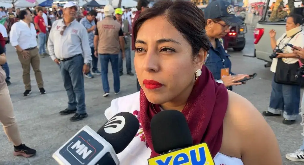 Imagen Detecta DIF 30 niños en actividades de ambulantaje durante Carnaval de Veracruz