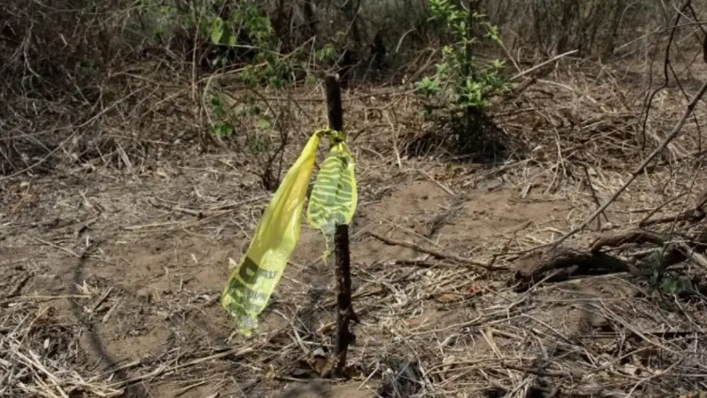 Imagen Reportan que cuerpos hallados en Paraíso, Tabasco tendrían entre 5 y 6 años enterrados