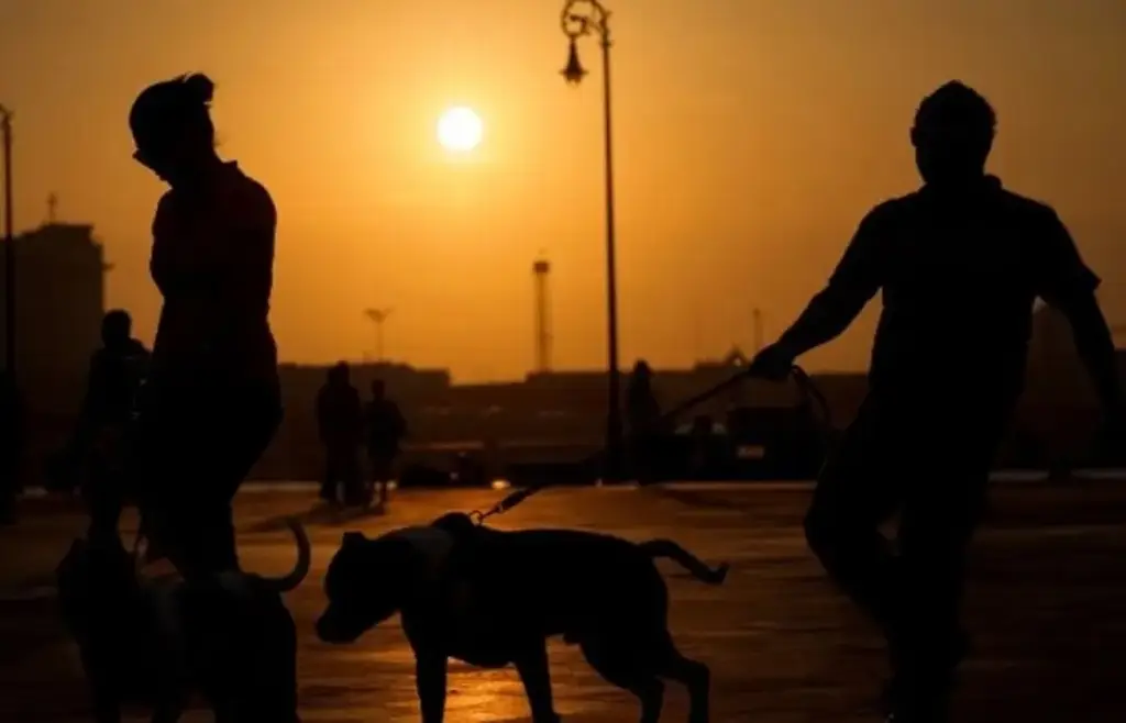 Imagen ¿Seguirá el calor en México y Veracruz? También se acerca otro frente frío