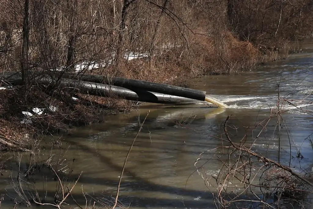 Imagen Washington declara emergencia por derrames residuales en el río Potomac