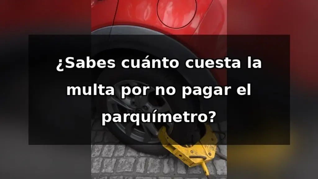 Imagen ¿Cuanto cuesta la multa por no pagar el parquímetro en Veracruz?