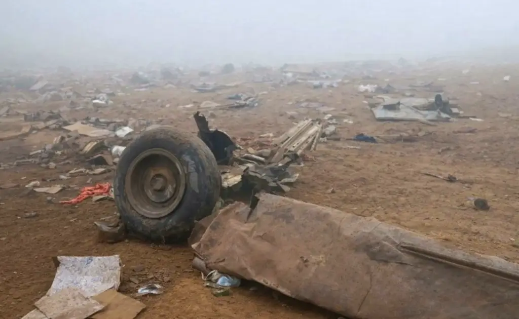 Imagen Perro sobrevive a accidente de helicóptero que dejó 15 muertos en Perú