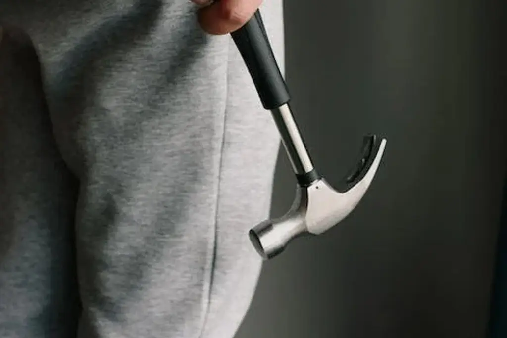 Imagen Muere mujer atacada a martillazos por su hijo 