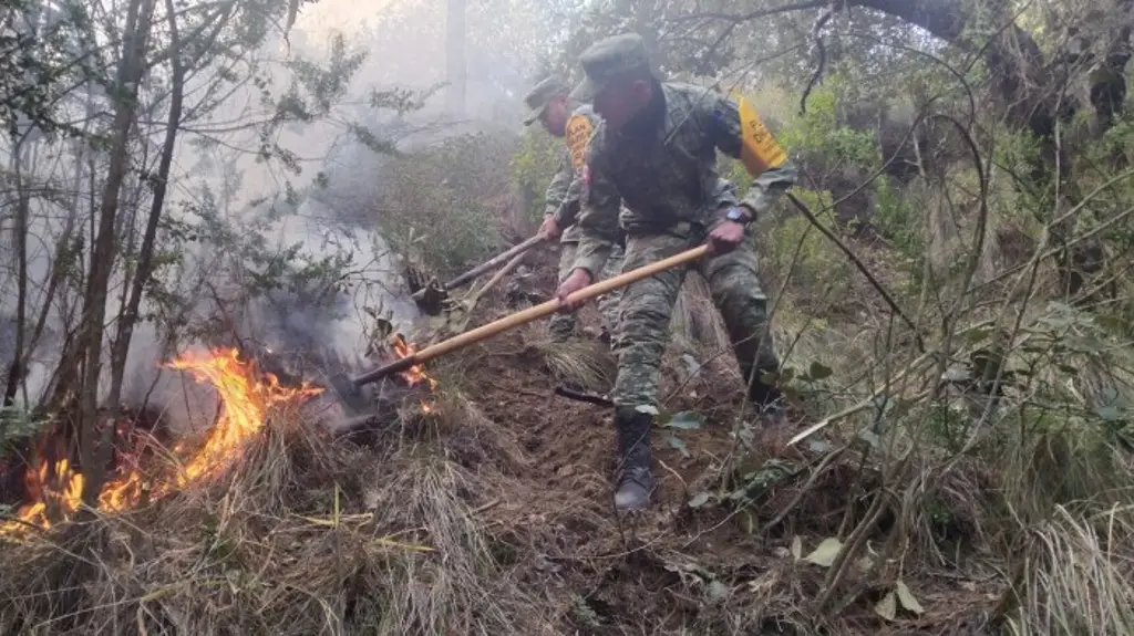 Imagen Afectó 1 hectárea incendio forestal en 111 Batallón de Perote, Veracruz 