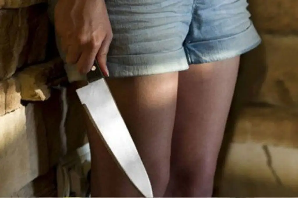 Imagen Mujer mató a su esposo porque le cobró el dinero que le prestó a un familiar en NL