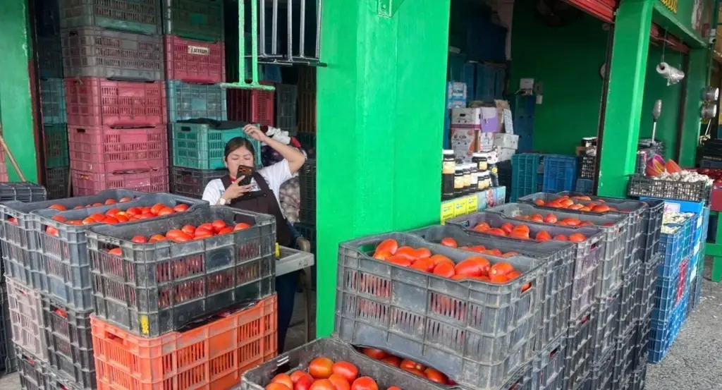 Imagen Precio del tomate por las nubes en Veracruz 