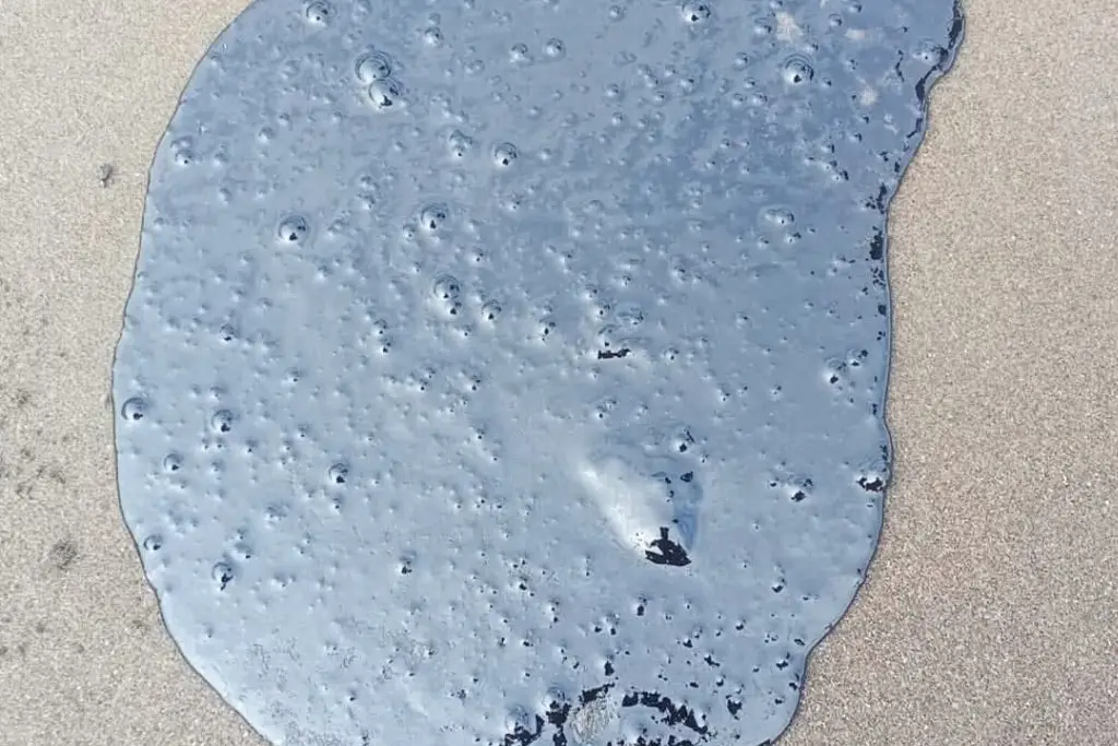 Imagen Derrame de hidrocarburo contamina 50 km de playas en el sur de Veracruz