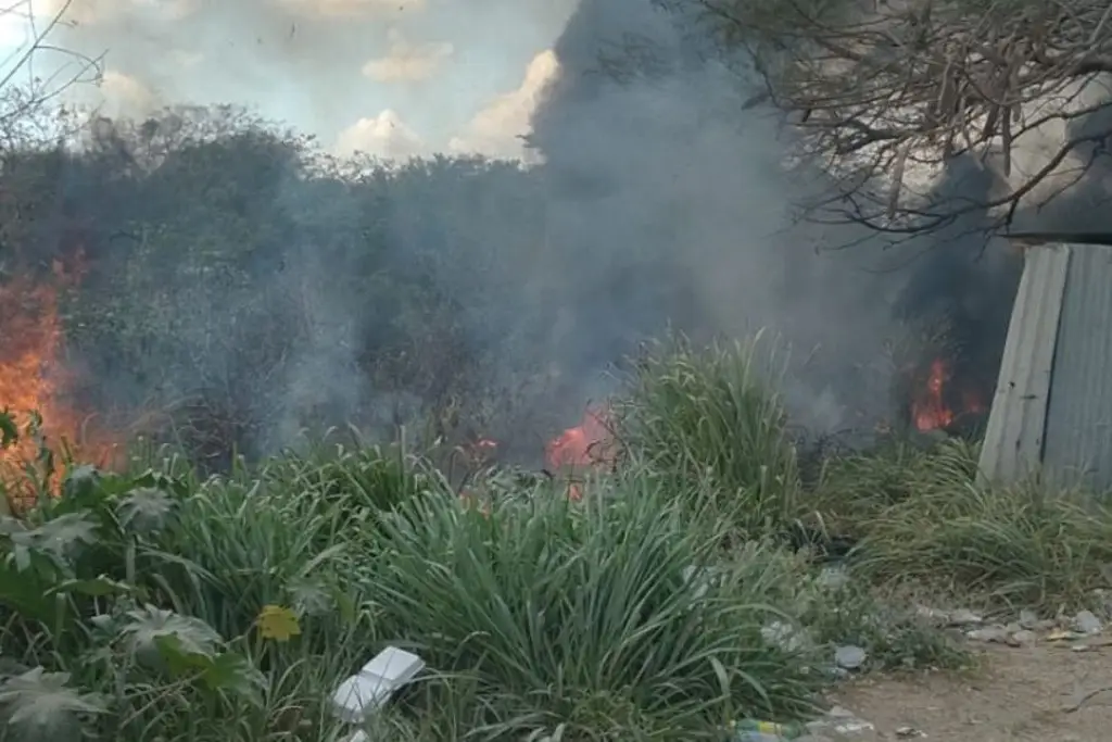 Imagen Bomberos de Veracruz atendieron tres reportes de incendios; uno fue falso