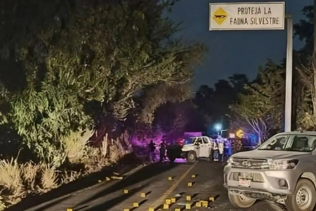 Imagen Asesinan a dos funcionarios del ayuntamiento de Ayutla, en Guerrero