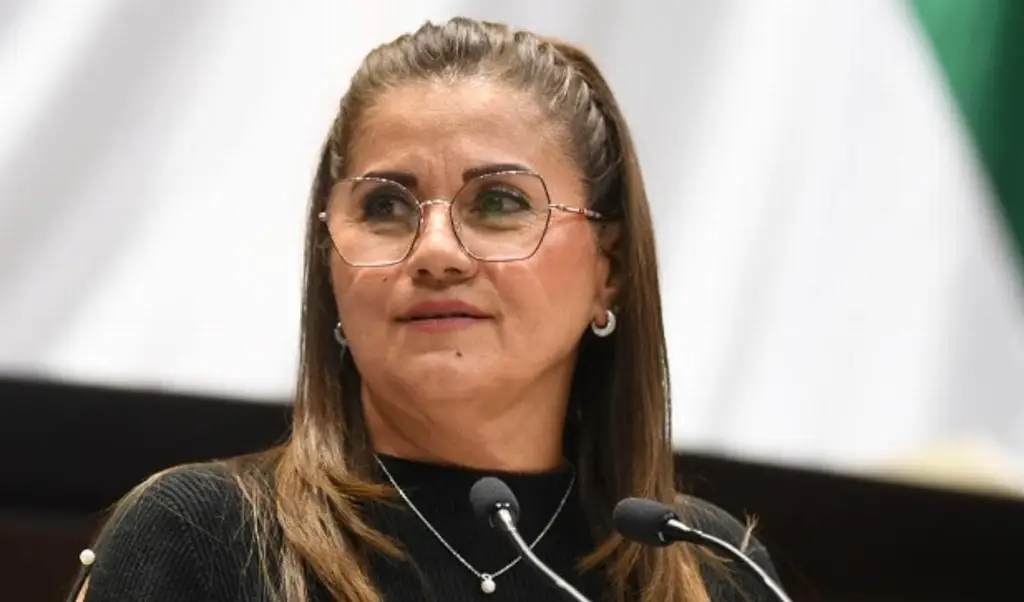 Imagen No existe piso parejo con recorte a financiamiento de partidos con Reforma Electoral: PAN 