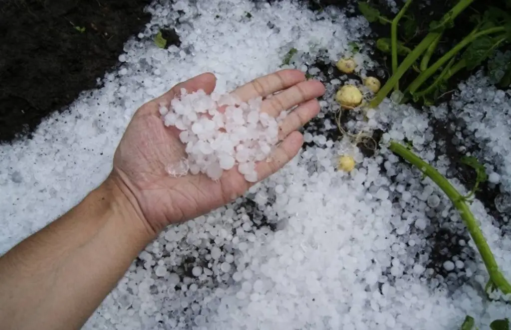 Imagen Prevén granizadas en zona montañosa de Veracruz