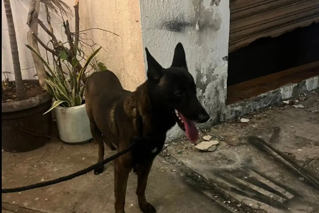 Imagen Despiden familiares y amigos a don Danilo hacia su última morada