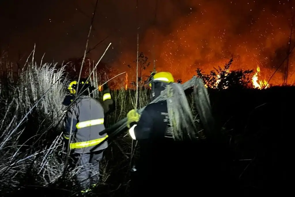 Imagen Atienden incendio de pastizal en la zona poniente de la ciudad de Veracruz