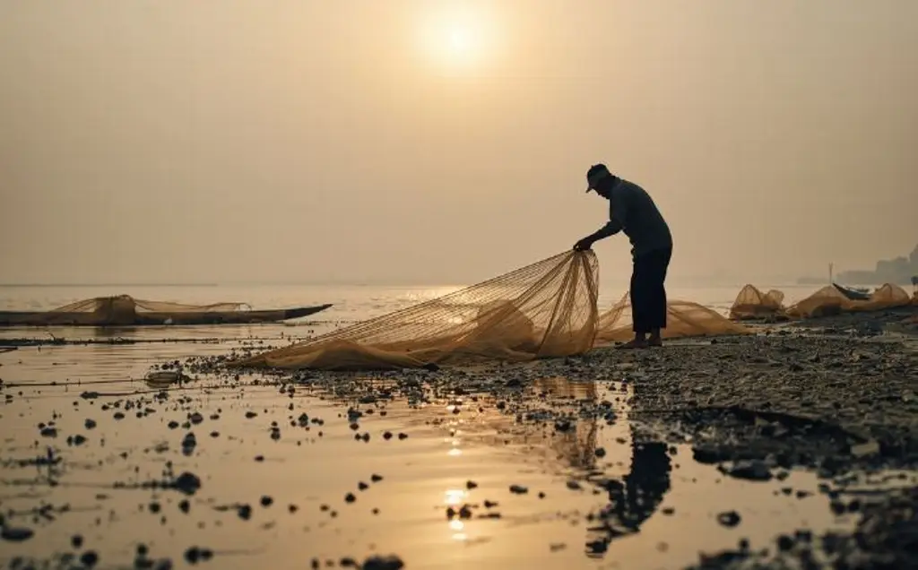 Imagen Derrame de hidrocarburo amenaza pesca y arrecifes en Veracruz