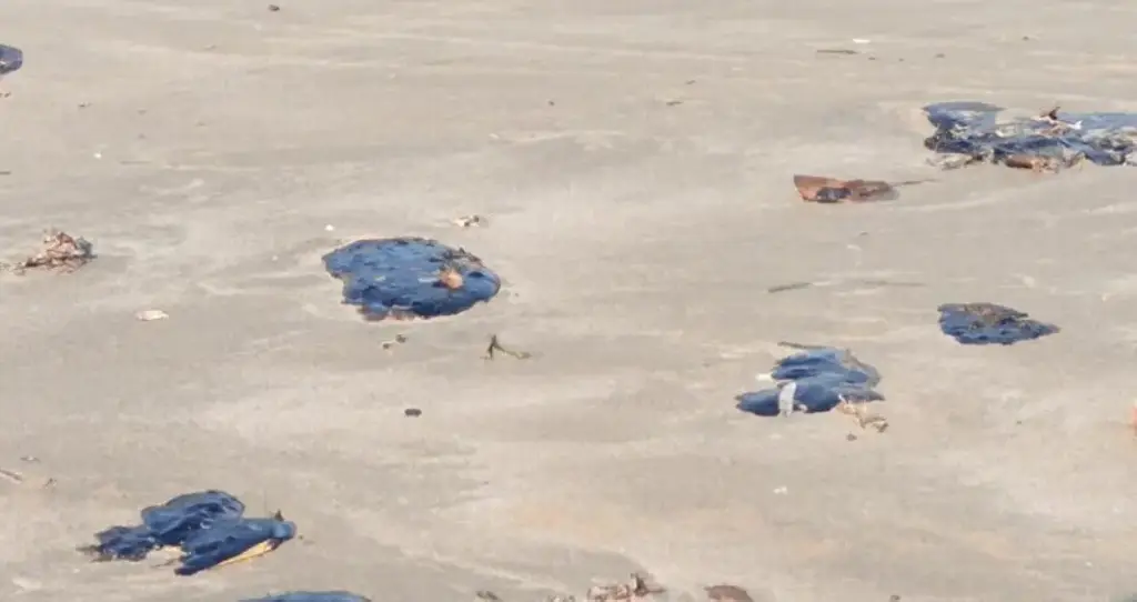 Imagen Manchas de petróleo llegan a Tabasco; realizan operativos para limpiar playas 