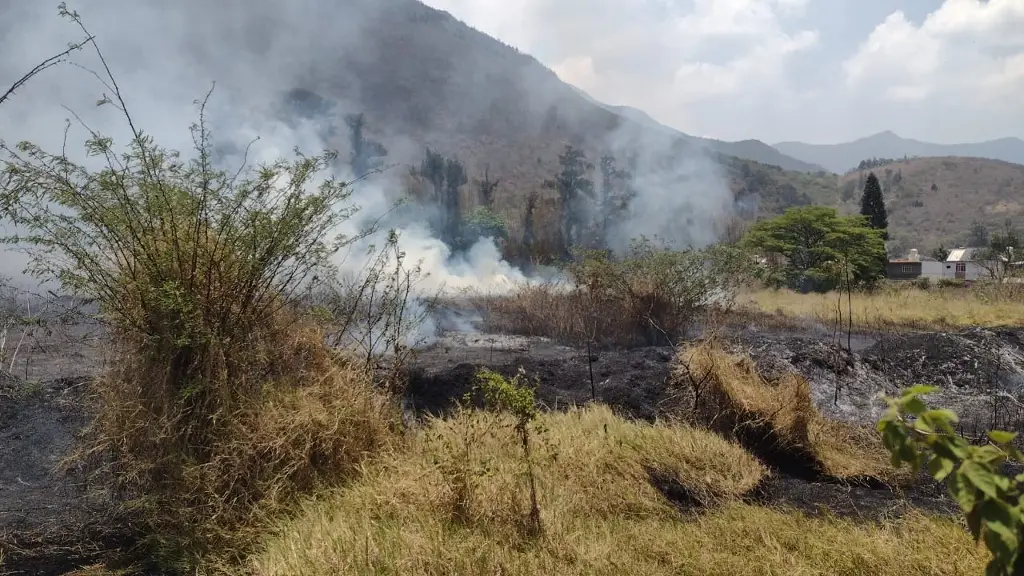 Imagen Cancelan quemas agropecuarias en Veracruz por riesgo de provocar incendios forestales