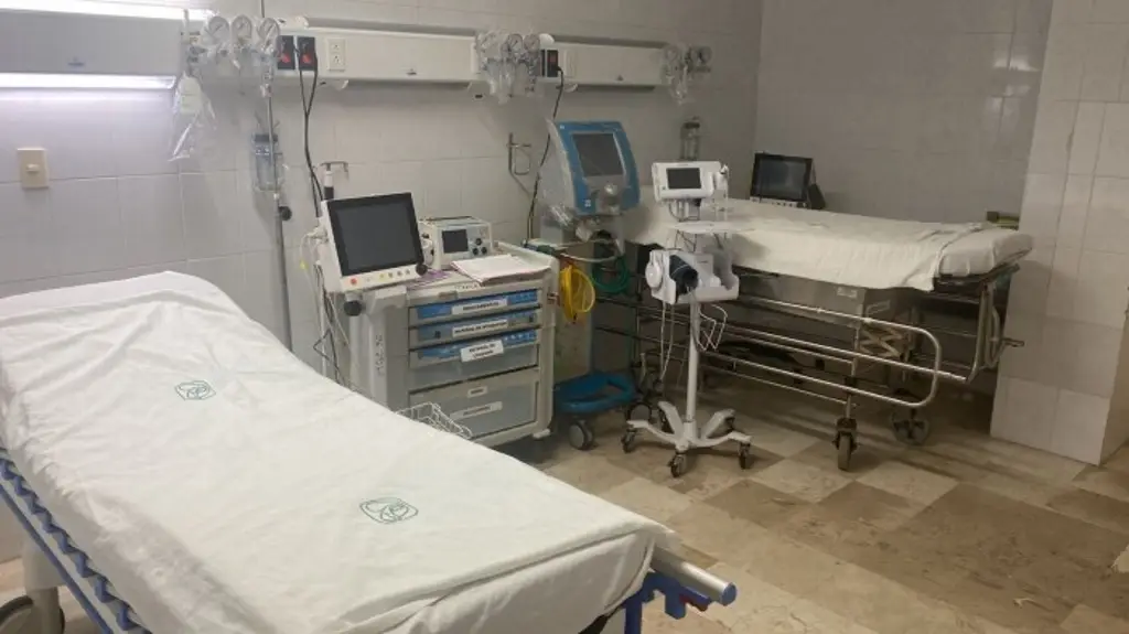 Imagen Veracruz registra 8 casos de miasis por gusano barrenador en humanos