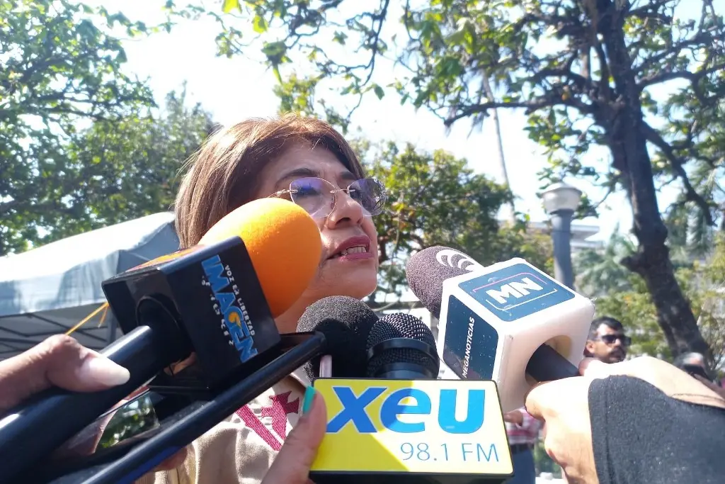 Imagen Ayuntamiento de Veracruz buscar retirar concesión a empresa de luminarias