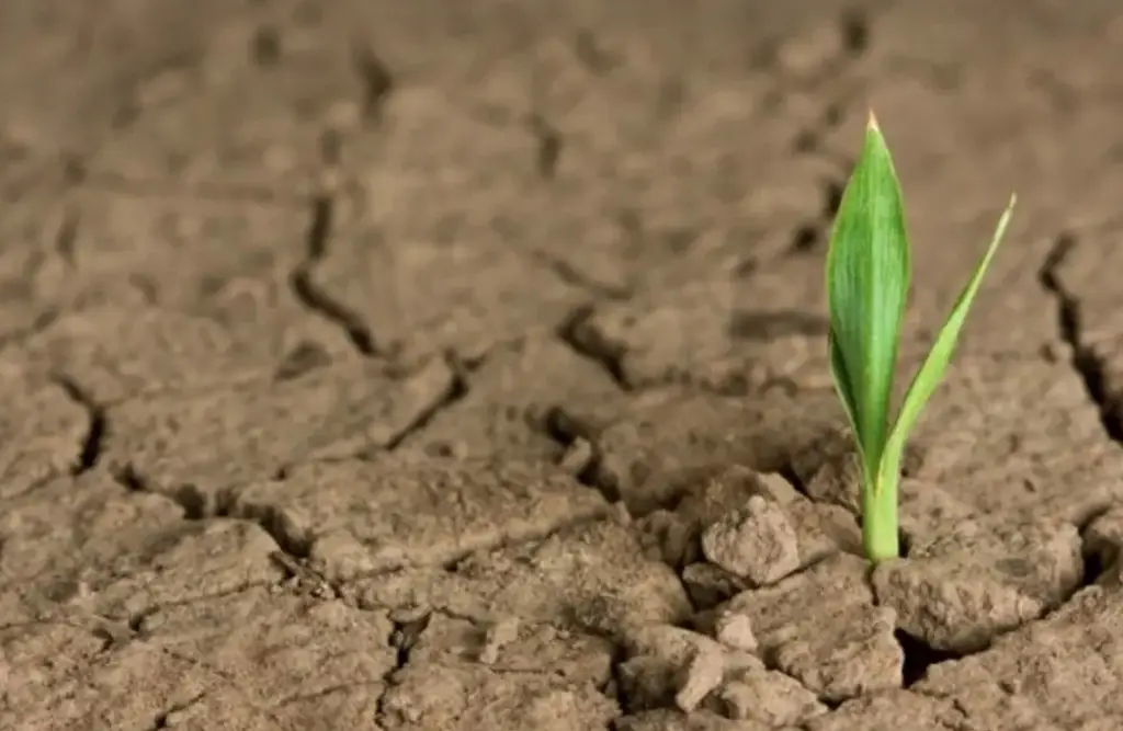 Imagen Clima en alerta: La Niña cede y expertos prevén posible llegada de El Niño en 2026