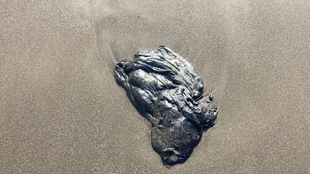 Imagen  Pemex y Semarnat ya atienden derrame de petróleo en Veracruz: Sheinbaum