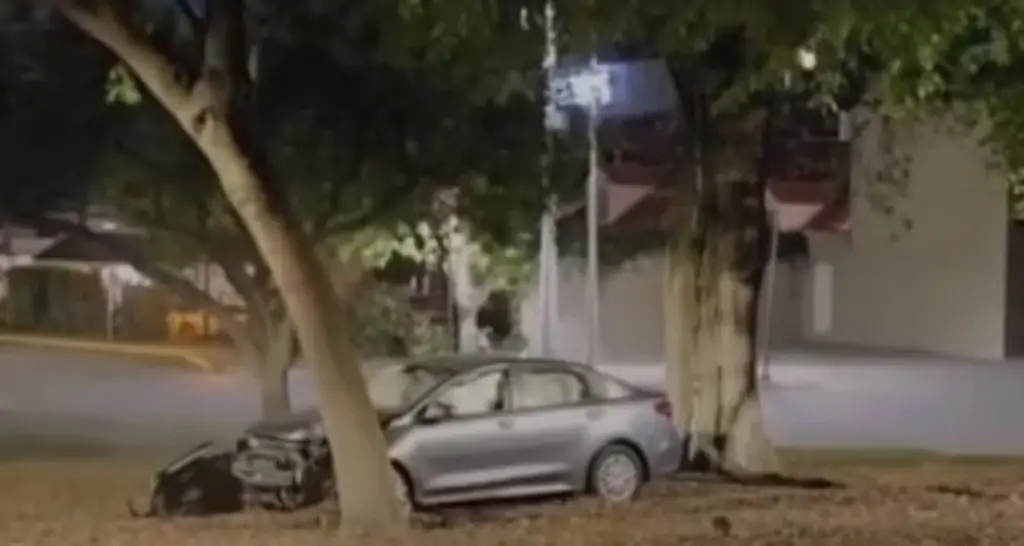 Imagen Captan en transmisión en vivo choque de un auto contra un árbol en NL (+Video)