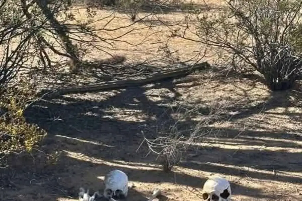 Imagen Buscadoras encuentran cementerio clandestino en el desierto de Sonora
