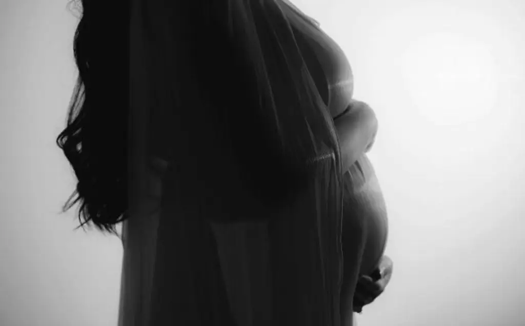 Imagen Veracruz, dentro de los 5 estados con más muertes maternas en lo que va del 2026