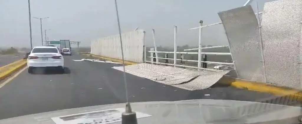 Imagen Cae barda que rodea la cabeza Olmeca en Veracruz 