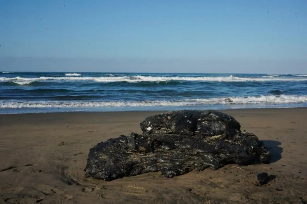 Imagen Pescadores recibirán apoyo económico para limpiar manchas de petróleo: Rocío Nahle
