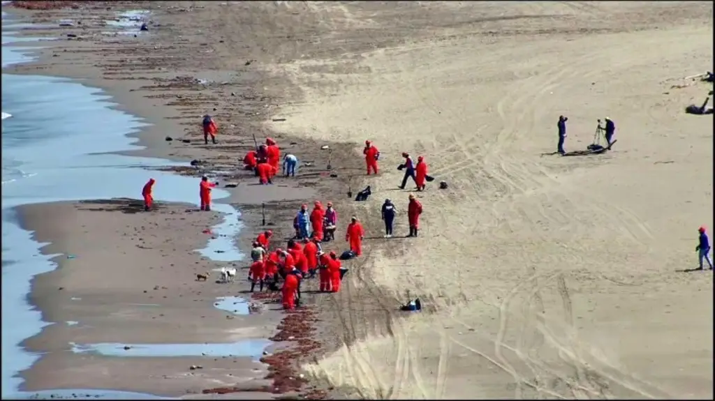 Imagen Reportan que avanza el 85% de limpieza por petróleo en playas del sur de Veracruz 