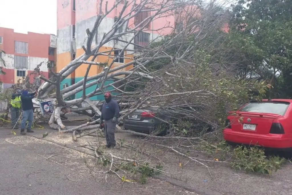 Imagen En Boca del Río hubo más de 60 situaciones de riesgo por evento de norte